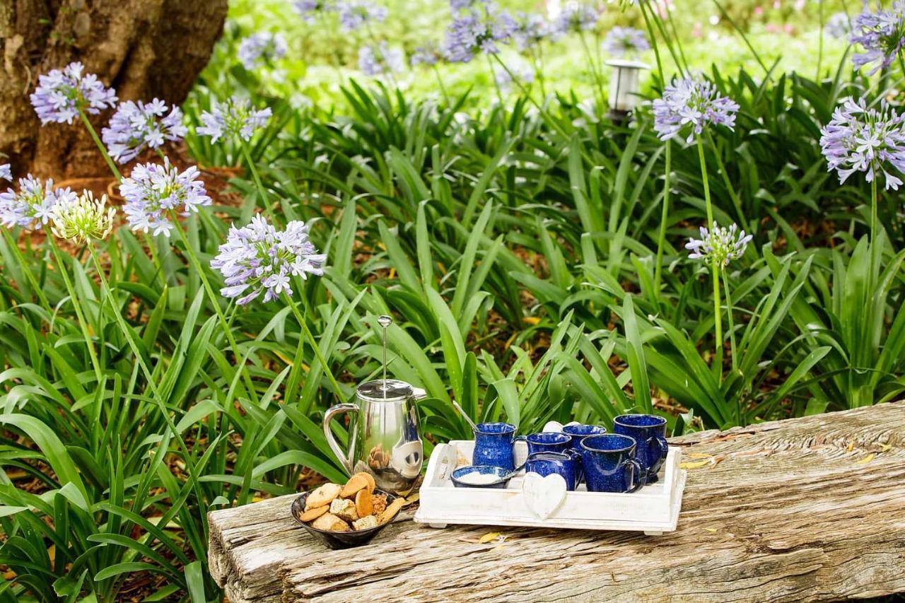 לינה וארוחת בוקר Matjiesrivier  Blue Lily Retreat מראה חיצוני תמונה