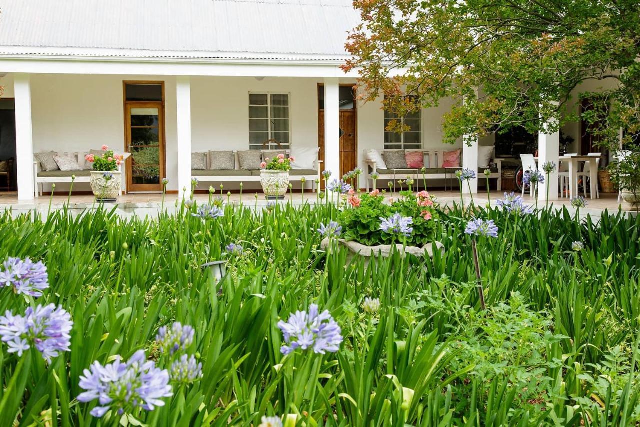 לינה וארוחת בוקר Matjiesrivier  Blue Lily Retreat מראה חיצוני תמונה